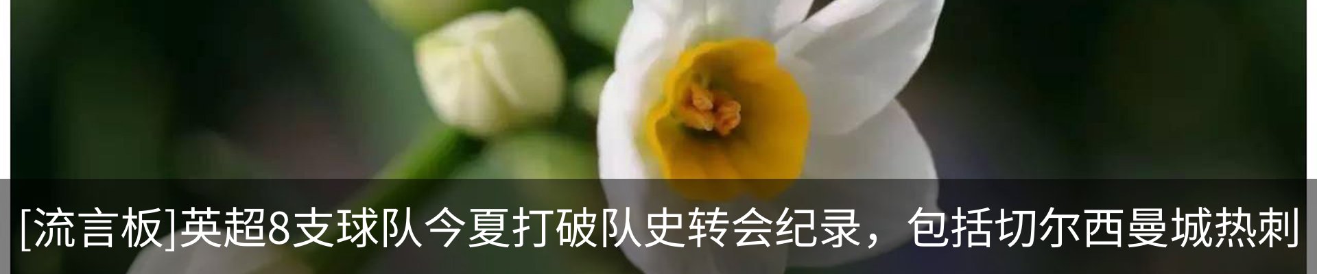 资讯动态